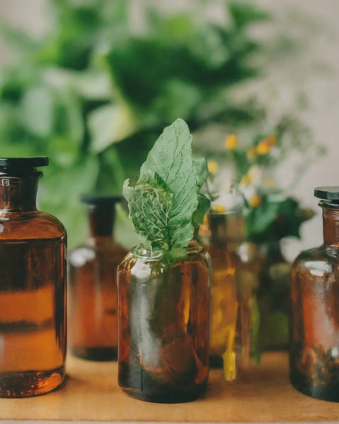 Discover the Power of Nature: How Herbal Extracts Promote Holistic Wellness