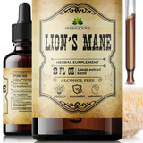 Lion’s Mane Liquid Mushroom Supplement – Premium Mushroom Extract Brain Supplement for Memory Focus and Nerve Support – 2oz