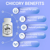Chicory Root Supplement  Inulin Powder Prebiotic Pills  - Natural Herbal Support for Immune System, Appetite Control, Heart Health