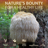 Lion’s Mane Mushroom 100 Capsules – Premium Mushroom Powder Capsules for Memory and Nerve Support -Focus Supplement