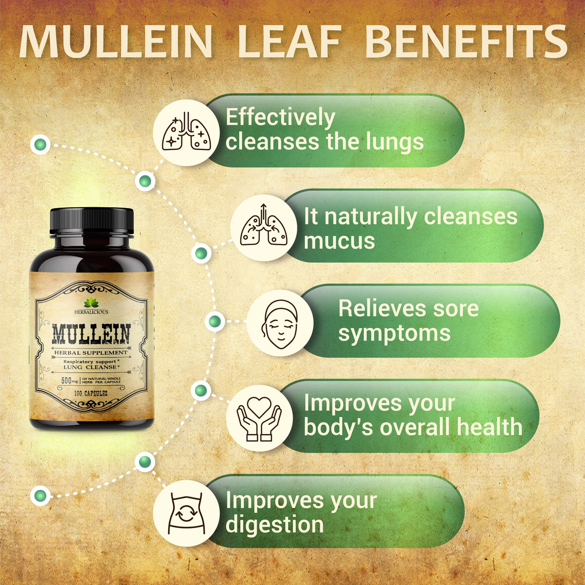 Mullein Leaf 100 Capsules - Organic Verbascum Thapsus Liquid Supplement - Herbal Tincture Promoting Lung, Respiratory & Digestive Wellness
