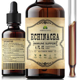 Echinacea Extract 4oz Liquid Drops - Antioxidant Rich Formula for Immune Function Support - Non-GMO, Alcohol-Free & Gluten-Free